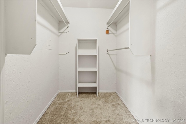 6374 S 80th E Ave Unit A, Tulsa, OK 74133 - walk in closet with carpet floors