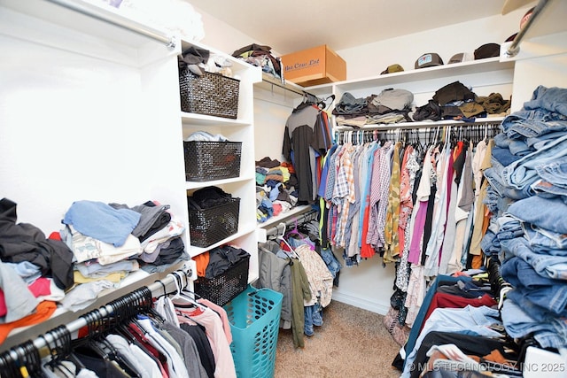 2570 Ambers Way, Tahlequah, OK 74464 - spacious closet with carpet floors