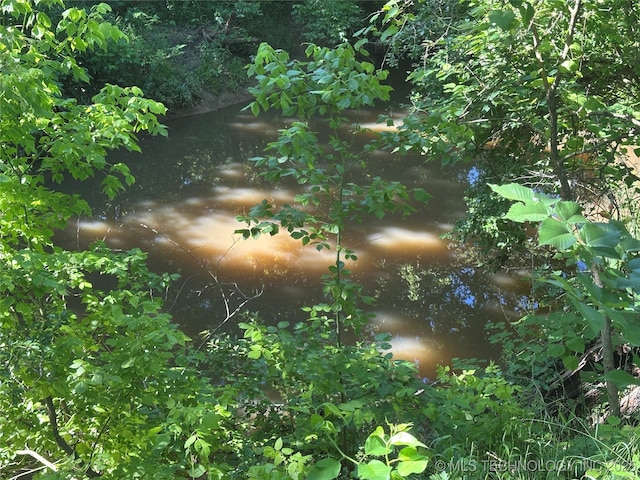 905 Brookside Dr, Durant, OK 74701 - view of nature