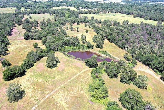 11787 S 4243rd Rd, Chelsea, OK 74016 - aerial view of a nearby body of water