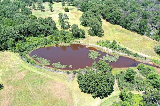 11787 S 4243rd Rd, Chelsea, OK 74016 - bird's eye view of a nearby body of water