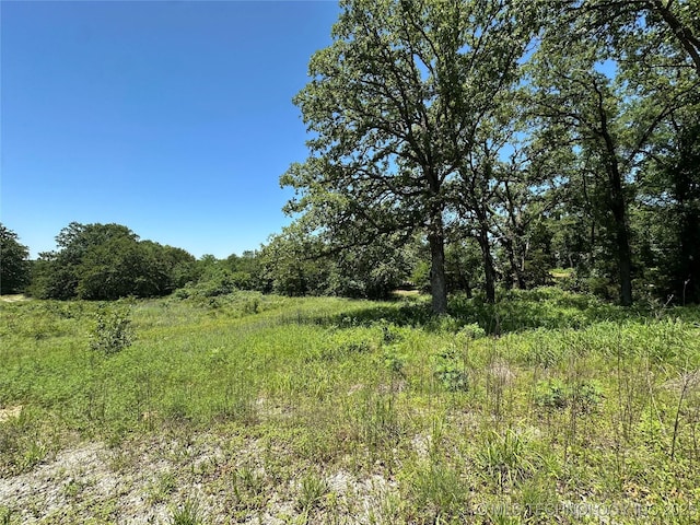 199 Shadow Ln, Ardmore, OK 73401 - view of woods