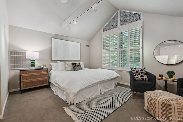 3898 E 72nd St, Tulsa, OK 74136 - bedroom featuring rail lighting, lofted ceiling, carpet flooring, and baseboards