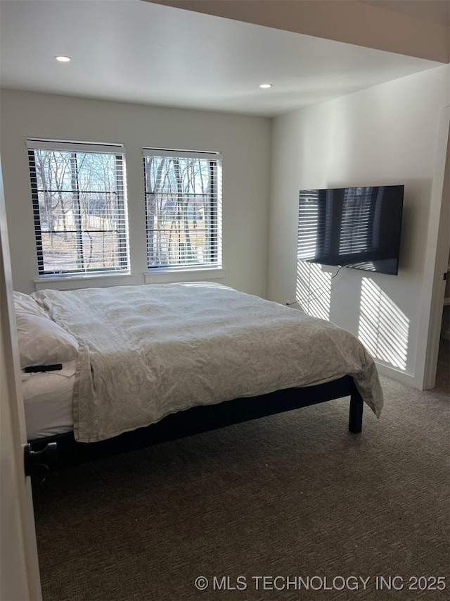 56648 Bloomer Rd, Afton, OK 74331 - carpeted bedroom with multiple windows and recessed lighting