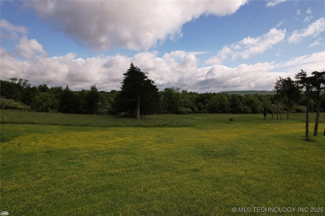 1965 Mcalester Lk, Mcalester, OK 74501 - view of grassy yard featuring a view of rural / pastoral area and a forest view