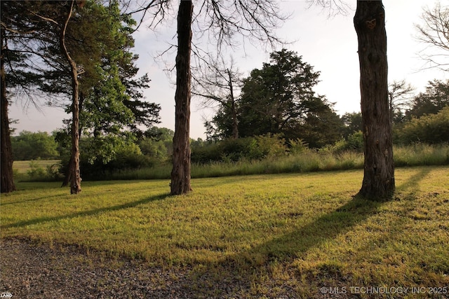1965 Mcalester Lk, Mcalester, OK 74501 - view of grassy yard