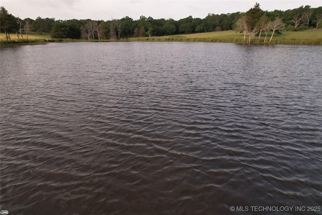 1965 Mcalester Lk, Mcalester, OK 74501 - water view with a heavily wooded area