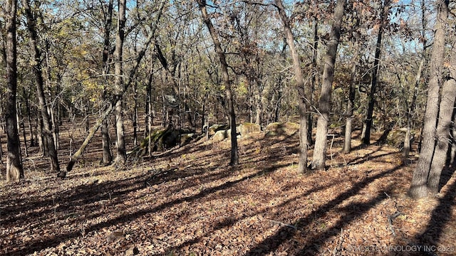 Se 110 Road, Red Oak, OK 74563