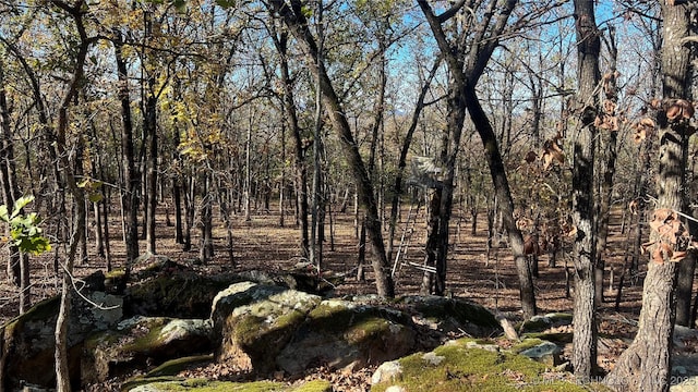 Se 110 Road, Red Oak, OK 74563