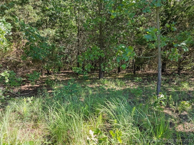 0 Chisholm Trl, Burneyville, OK 73430