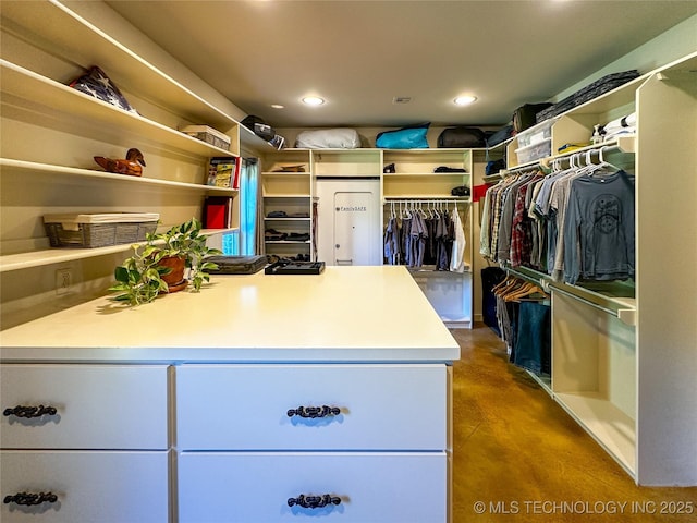 16012 N 145th Ave, Collinsville, OK 74021 - view of spacious closet