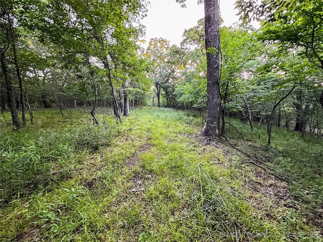 16012 N 145th Ave, Collinsville, OK 74021 - view of woods
