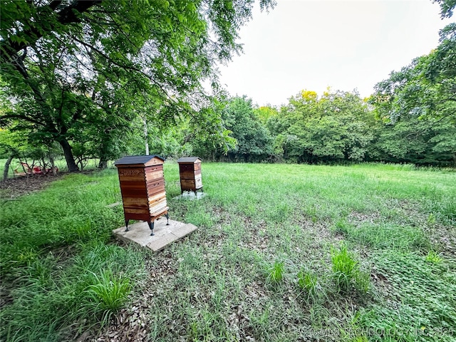 16012 N 145th Ave, Collinsville, OK 74021 - view of yard with a forest view