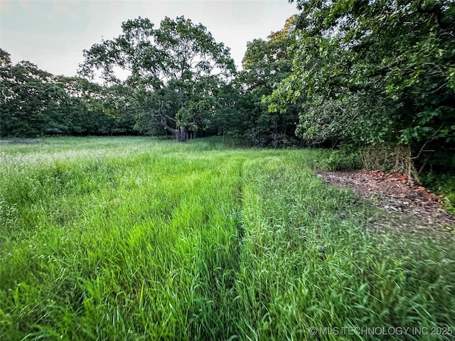 16012 N 145th Ave, Collinsville, OK 74021 - view of yard