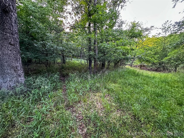 16012 N 145th Ave, Collinsville, OK 74021 - view of tree filled area