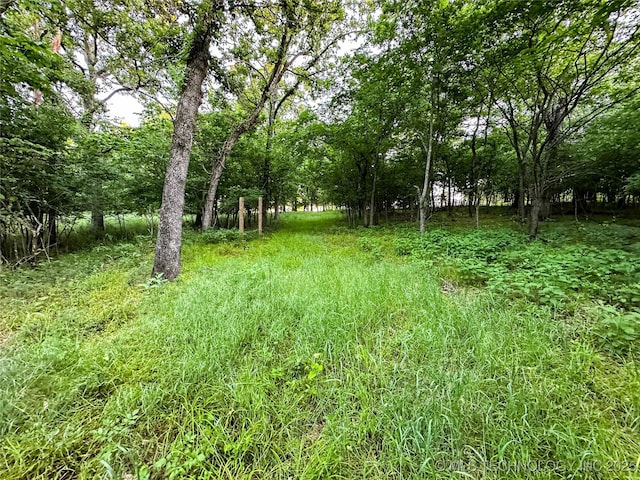16012 N 145th Ave, Collinsville, OK 74021 - view of yard