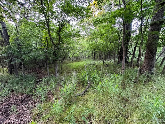 16012 N 145th Ave, Collinsville, OK 74021 - view of woods