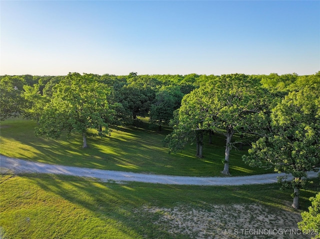 16012 N 145th Ave, Collinsville, OK 74021 - view of home's community featuring a lawn and a forest view