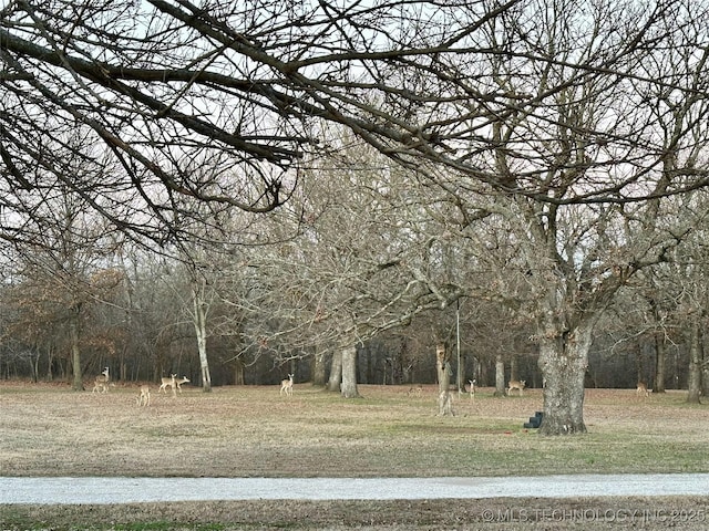 16012 N 145th Ave, Collinsville, OK 74021 - view of yard with a wooded view