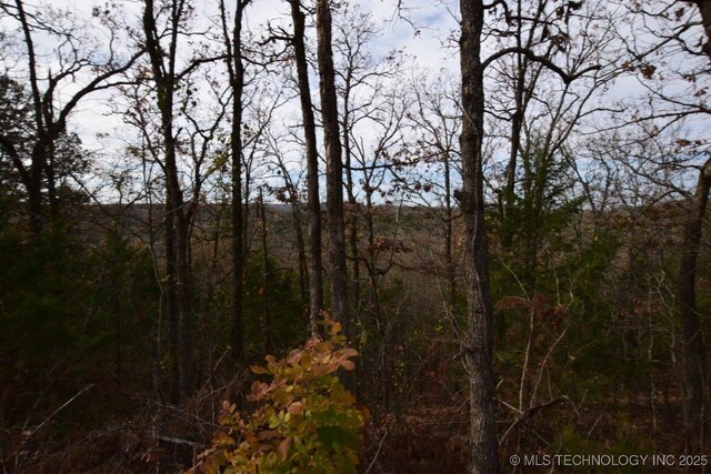 27885 Lakeview Dr, Park Hill, OK 74451 - photo 8