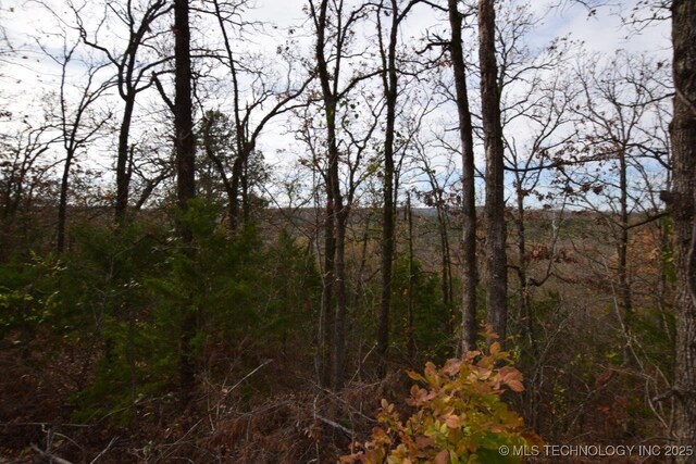 27885 Lakeview Dr, Park Hill, OK 74451 - photo 9