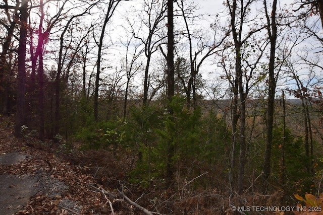 27885 Lakeview Dr, Park Hill, OK 74451 - photo 10