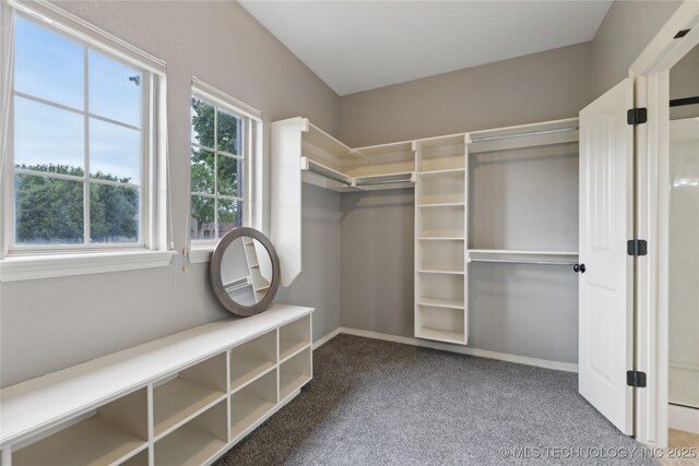 7083 E 85th St N, Owasso, OK 74055 - spacious closet featuring carpet flooring