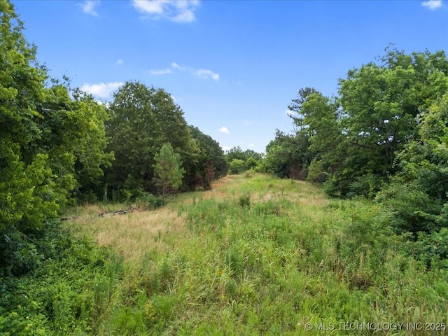 18754 Timber Creek Rd, Earlsboro, OK 74840 - photo 5