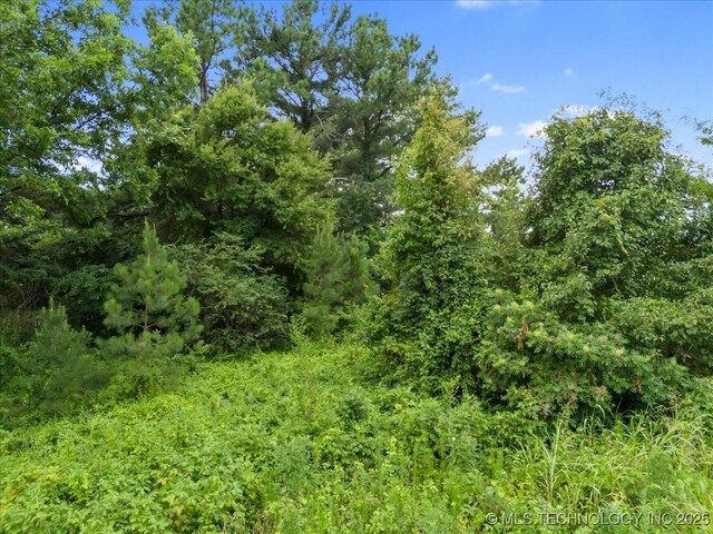 18754 Timber Creek Rd, Earlsboro, OK 74840 - photo 8