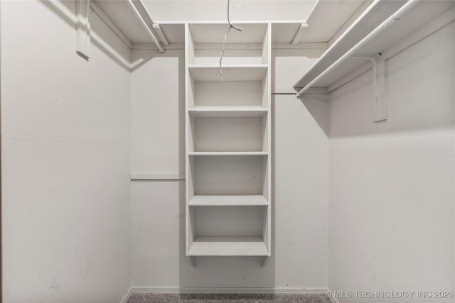 view of walk in closet