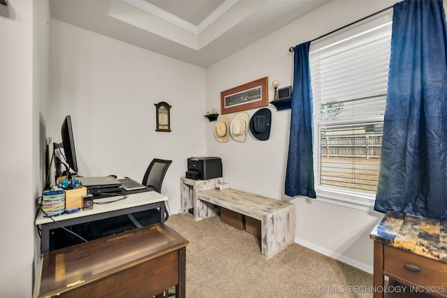 2405 S 13th St, Broken Arrow, OK 74012 - carpeted home office featuring crown molding, a tray ceiling, and baseboards