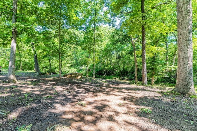 11802 Hickory Ln, Claremore, OK 74017 - view of wooded area