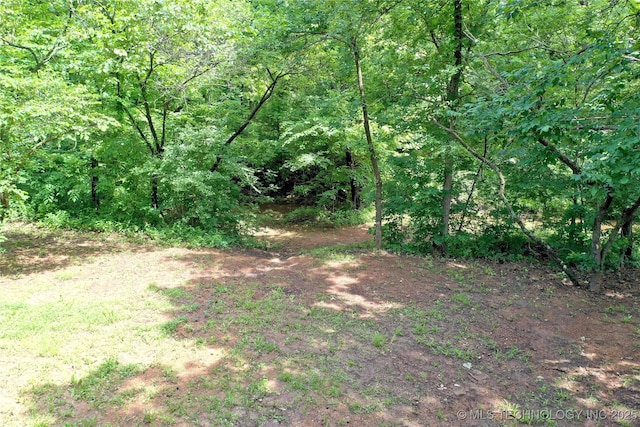 11802 Hickory Ln, Claremore, OK 74017 - photo 74