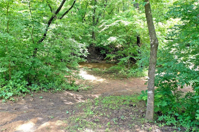 11802 Hickory Ln, Claremore, OK 74017 - view of undeveloped land