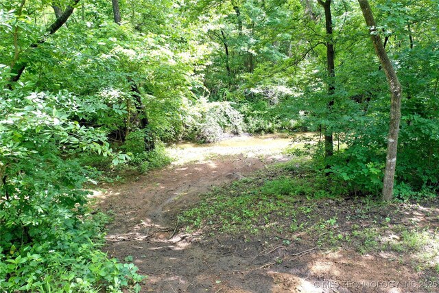 11802 Hickory Ln, Claremore, OK 74017 - photo 76