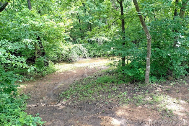 11802 Hickory Ln, Claremore, OK 74017 - photo 77