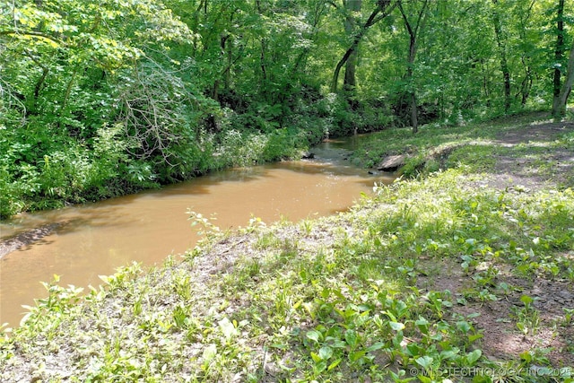 11802 Hickory Ln, Claremore, OK 74017 - view of local wilderness