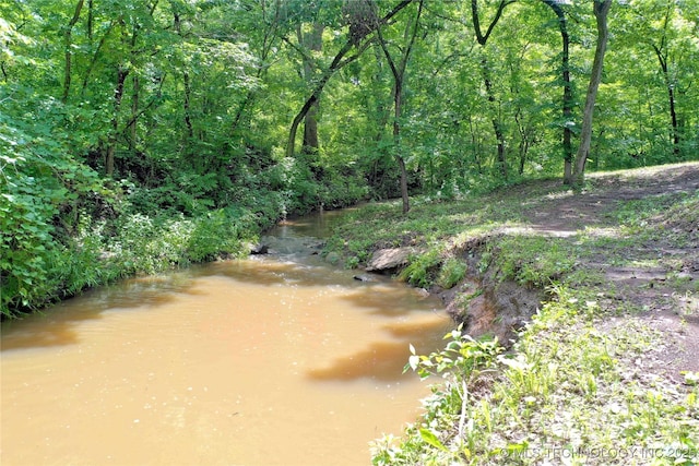 11802 Hickory Ln, Claremore, OK 74017 - water view