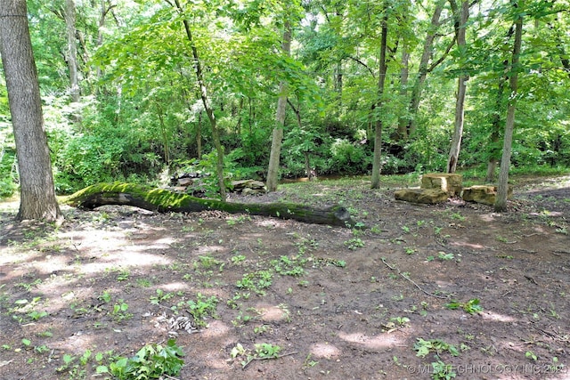 11802 Hickory Ln, Claremore, OK 74017 - view of woods