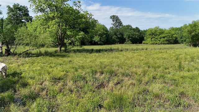 W 440 Road, Pryor, OK 74361 - photo 3
