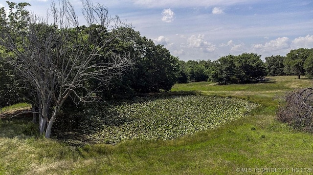 20700 E 420th Rd, Claremore, OK 74017 - view of nature