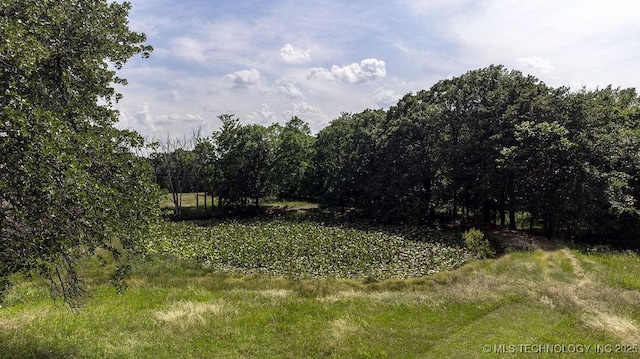 20700 E 420th Rd, Claremore, OK 74017 - view of undeveloped land