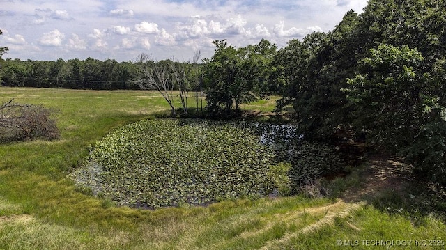 20700 E 420th Rd, Claremore, OK 74017 - view of woods