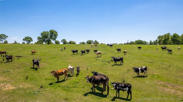 Dozer Rd, Sulphur, OK 73086