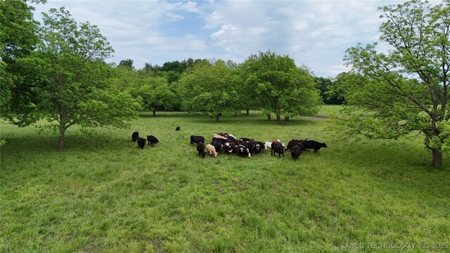N 4318 Road, Pryor, OK 74361 - photo 5