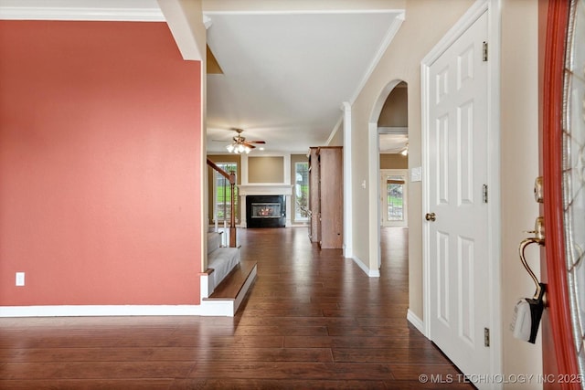 6007 E 76th Ct, Tulsa, OK 74136 - entrance foyer with crown molding, a ceiling fan, arched walkways, dark wood-style flooring, and a fireplace