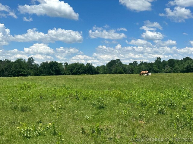 1419 E 2045th Rd, Soper, OK 74759