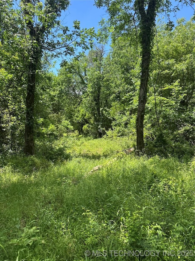 1419 E 2045th Rd, Soper, OK 74759