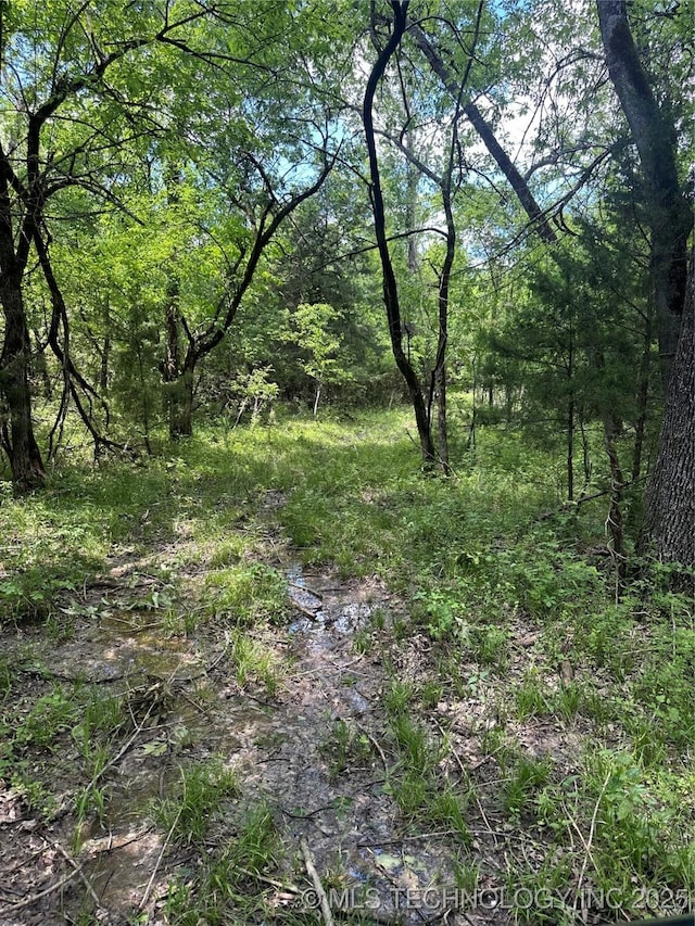 1419 E 2045th Rd, Soper, OK 74759