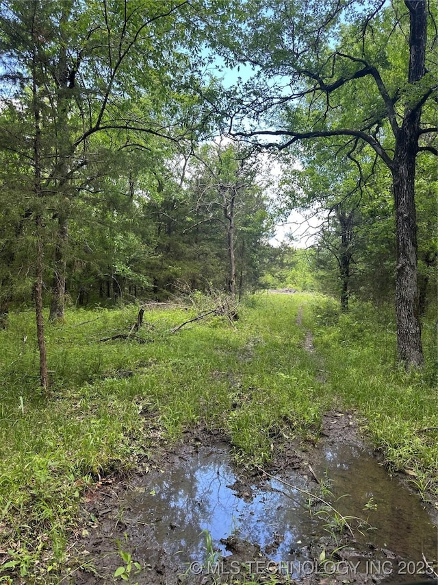 1419 E 2045th Rd, Soper, OK 74759